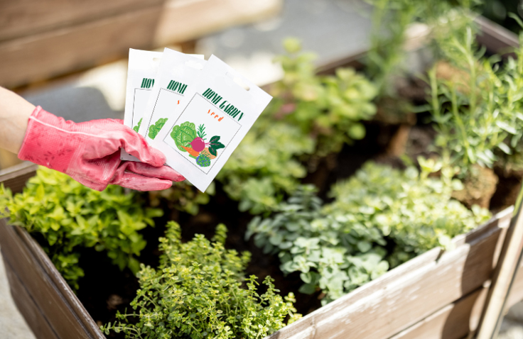 Sachets de semences pour le potager