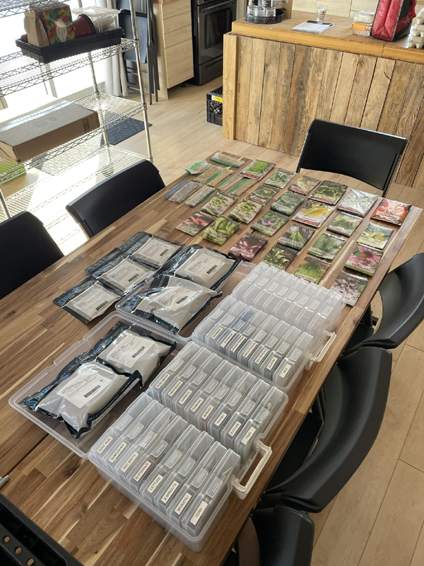 Conservation des semences