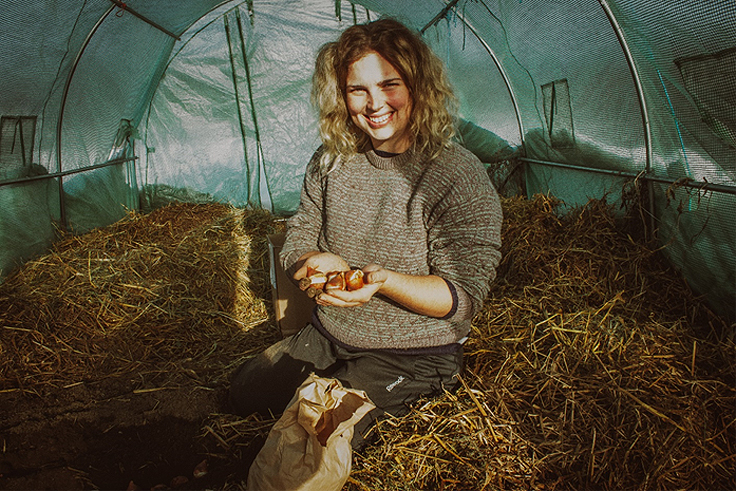 Comment planter des bulbes de tulipes