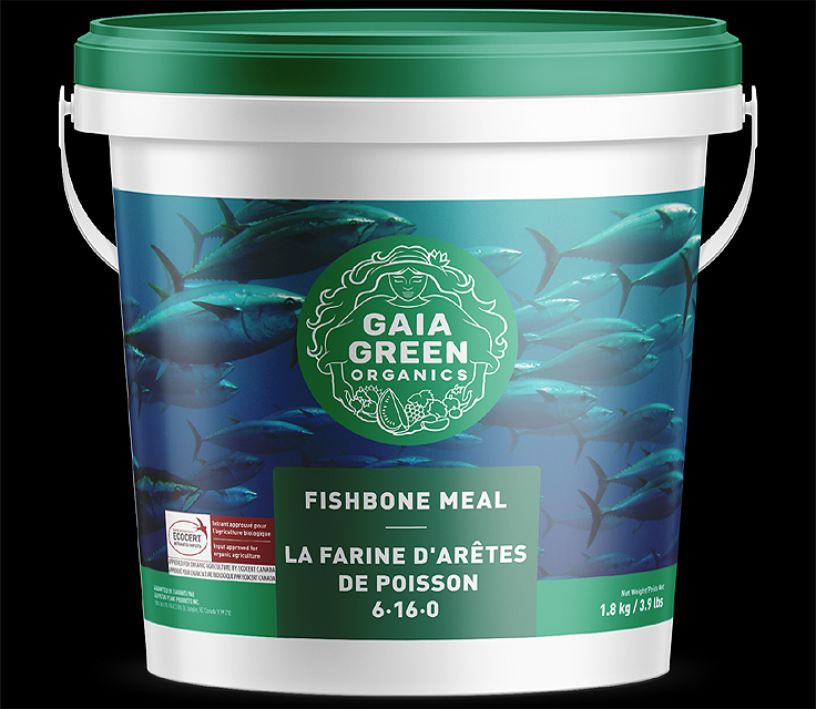 Farine de poisson