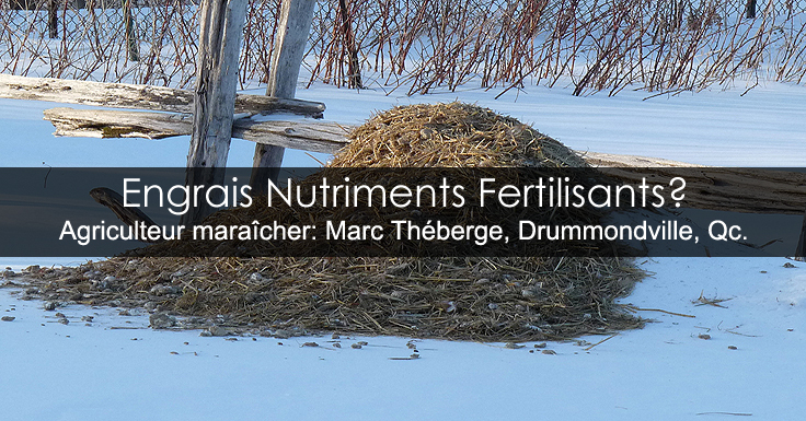 Engrais nutriments et fertilisants - Démystification des différences