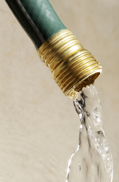 Arrosage des plants de tomates