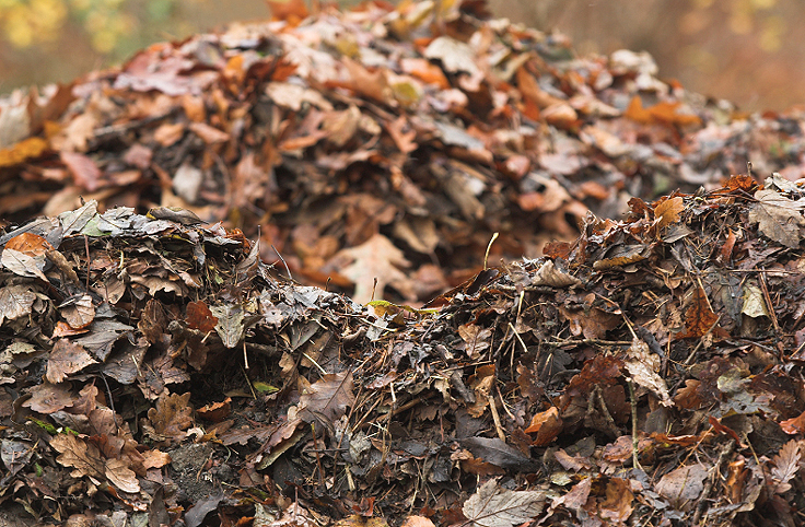 L'or brun des jardiniers