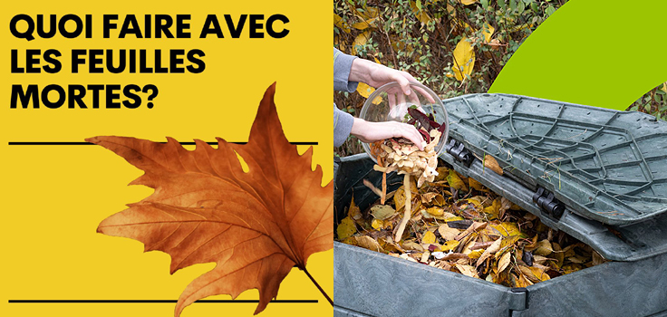 Recyc-quebec