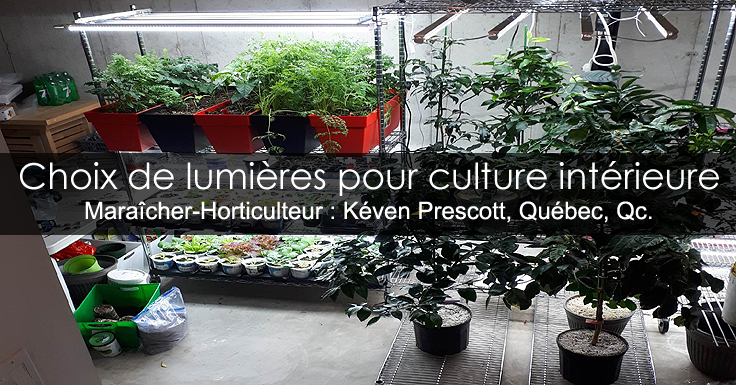 Lampes de culture