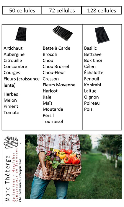 Plateau multicellules
