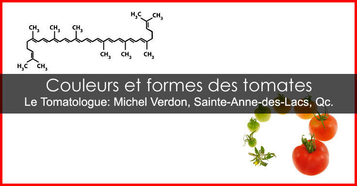 Couleurs de tomates