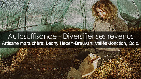 Diversifier ses revenus pour être plus autosuffisant