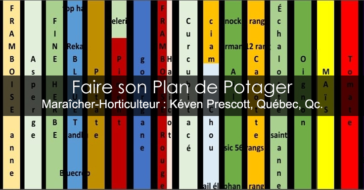 Plan de potager
