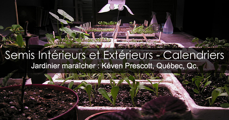 Quand faire ses semis - Calendrier de semis