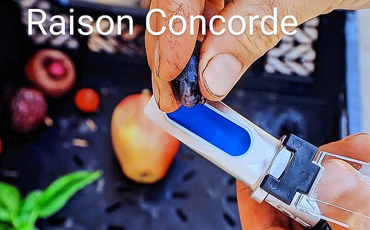 Achat réfractomètre