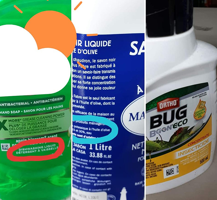 Savons insecticides