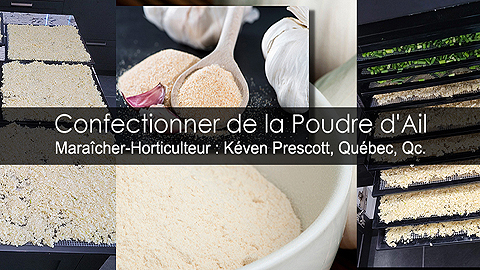 Poudre d'ail