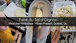 Sel d'oignon