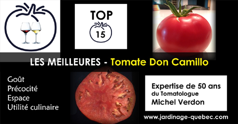 Tomate Don Camillo