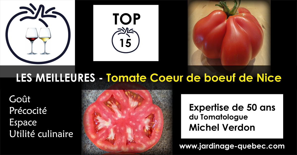 Tomate Coeur de boeuf de Nice