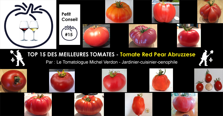 Tomate Red Pear Abruzzeses