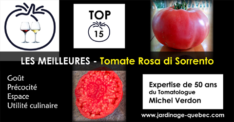Tomate Rosa di Sorrento