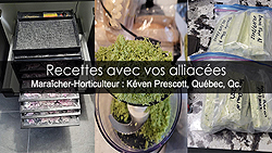 Transformation des alliacées