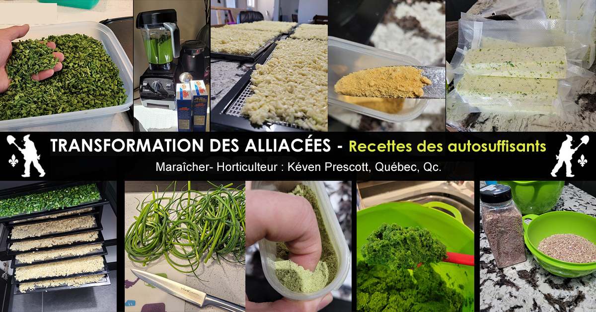 Transformation des alliacées
