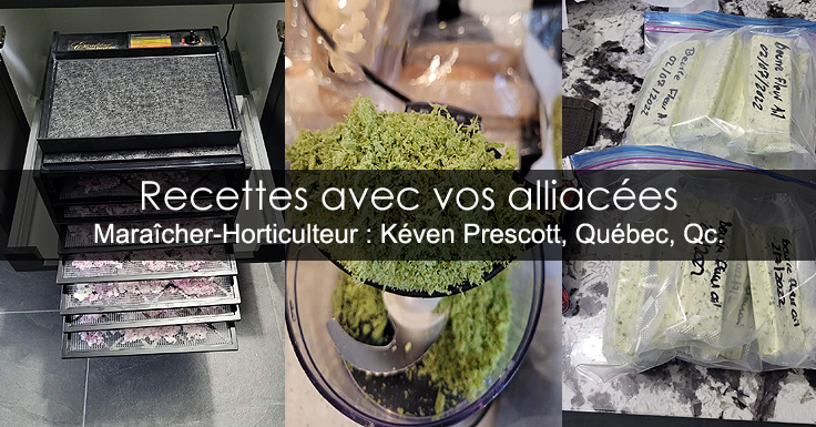 Recettes ail