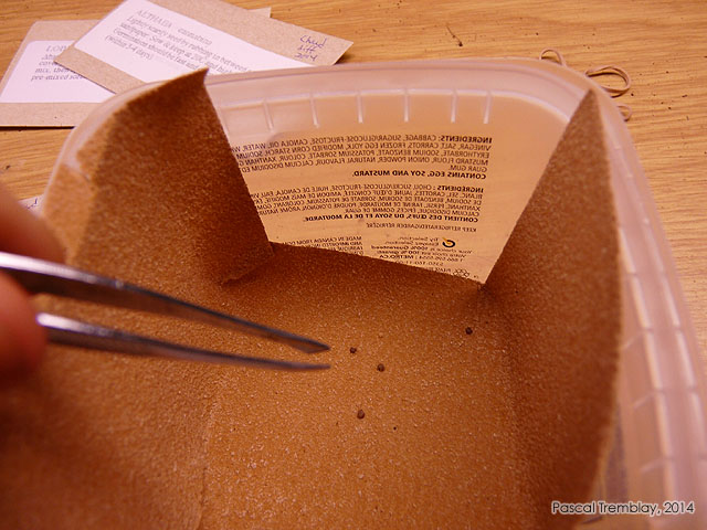 �gratigner graines - Briser graines - Scarifier graines - Faciliter la germination