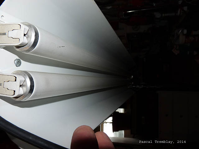 Néons pour lampes de culture - Lampe fluorescente pour semis intérieur - GroLux