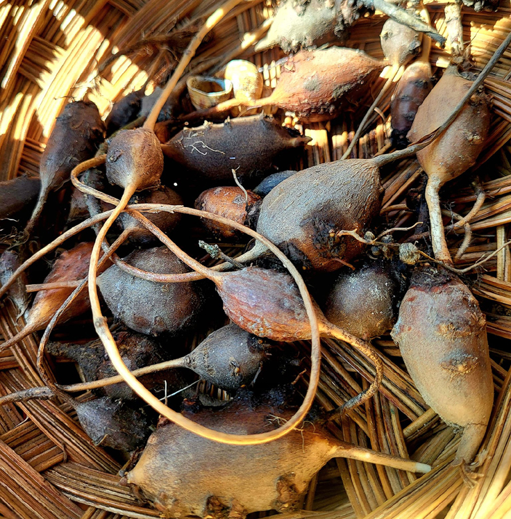 Patates-en-chapelet