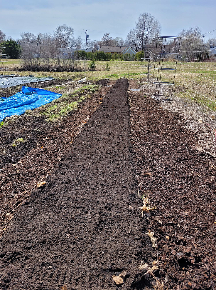 Faire les semis dans la matière compostée