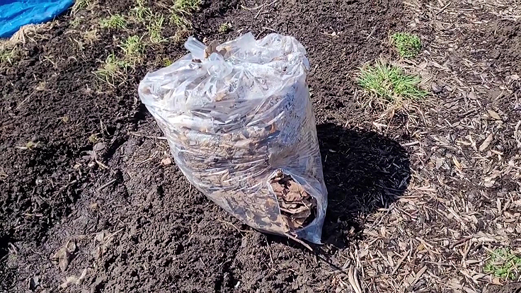 Sacs de feuilles mortes du voisinage