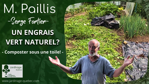 Engrais vert naturel - Composter ses mauvaises herbes