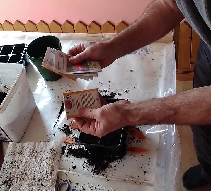 Choix et plantation des graines en bacs