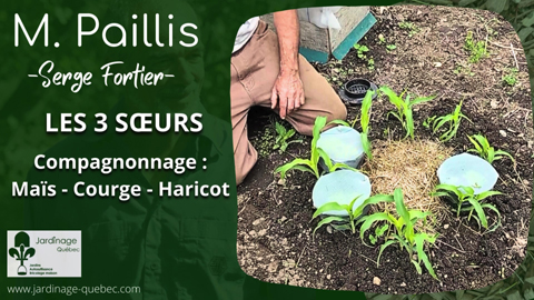 Les Trois Soeurs - Maïs Courge et Haricot