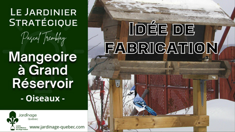 Mangeoire à oiseaux à grand réservoir - Idée de fabrication
