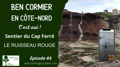 Sentier du Cap ferré - Le Ruisseau rouge