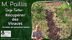 Vivaces et mauvaises herbes