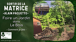 Faire un jardin dans le bois