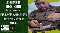 Empreintes d'animaux