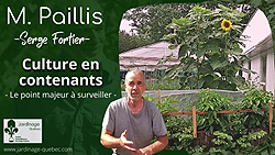 Cultures en contenants