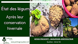 Conservation des légumes