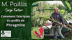 Paillis de phragmite - Comment en fabriquer