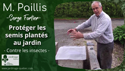 Protection des petits transplants et semis extérieur