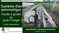 Système d'arrosage automatique goutte à goutte