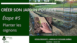 Jardin Potager - Planter des oignons