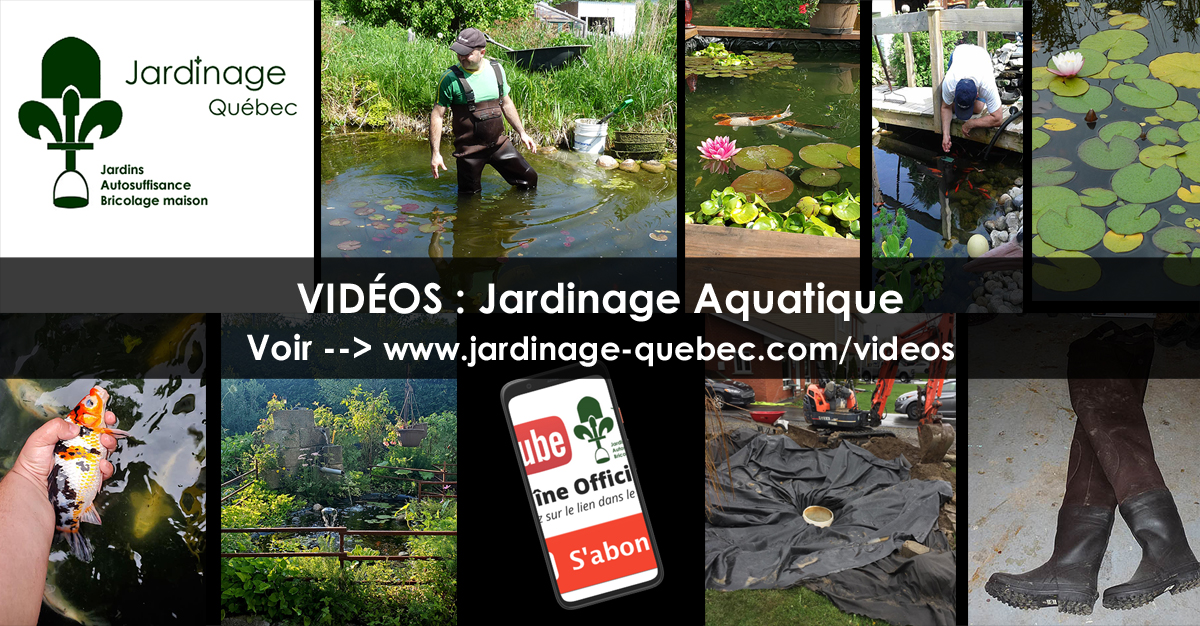 Bassin de jardin