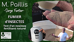 Fumier d'insectes