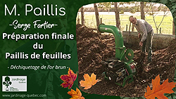 Paillis de feuilles mortes