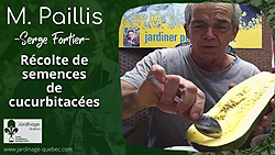 Récolter des semences de cucurbitacées