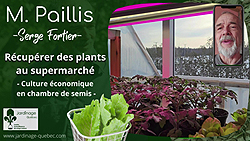 Récupérer des plants au supermarché