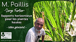 Tuteurs pour plantes